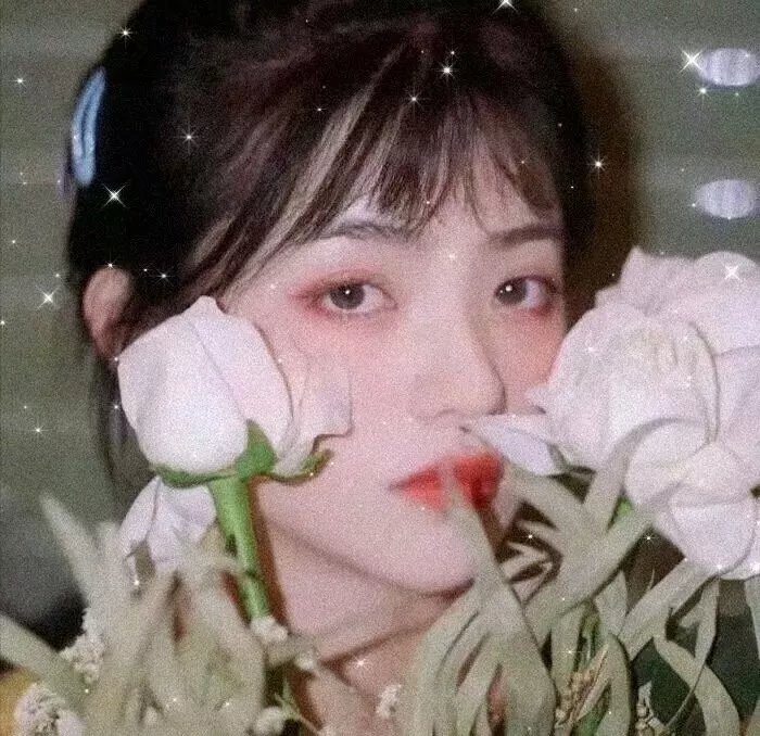 金刚归来